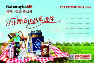 全方位設計服務與軟件開發 助力企業品牌傳播與數字化升級