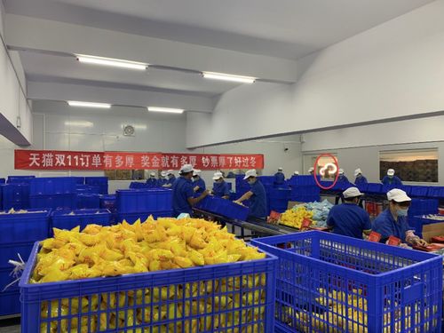 無人可擋 柳州螺螄粉與軟件開發(fā)的融合發(fā)展