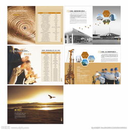 軟件開發公司的畫冊圖片策劃 視覺敘事與品牌塑造